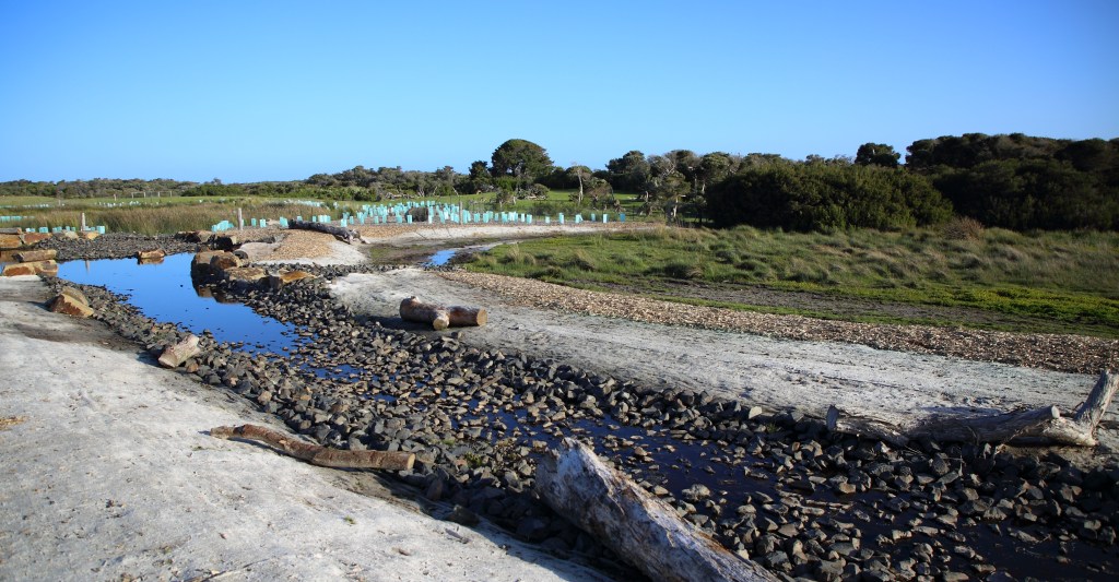 This image has an empty alt attribute; its file name is bottom-pond-bog-and-wetland-the-cape-5-sep-20.jpg