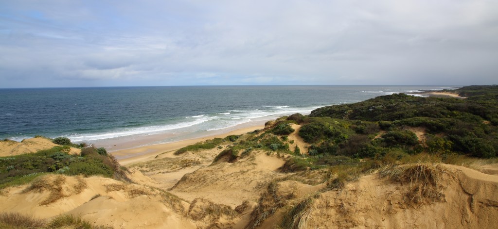 This image has an empty alt attribute; its file name is dunes-and-2nd-surf-beach-the-cape-25-aug-20.jpg