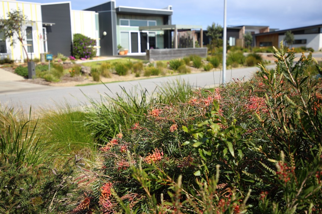 This image has an empty alt attribute; its file name is habitat-in-native-house-gardens-the-cape_2-5-sep-20.jpg