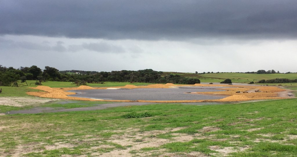 This image has an empty alt attribute; its file name is major-wetlands-10-may-2019.jpg