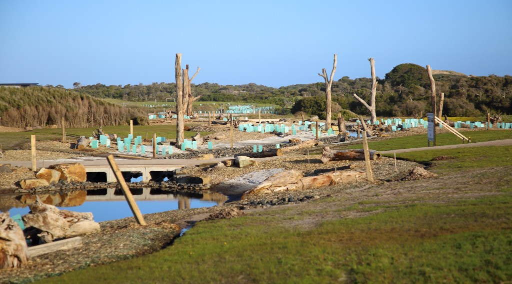 This image has an empty alt attribute; its file name is middle-pond-looking-south-the-cape-5-sep-20.jpg